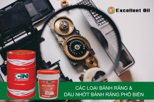 Các loại bánh răng & Dầu nhớt bánh răng phổ biến